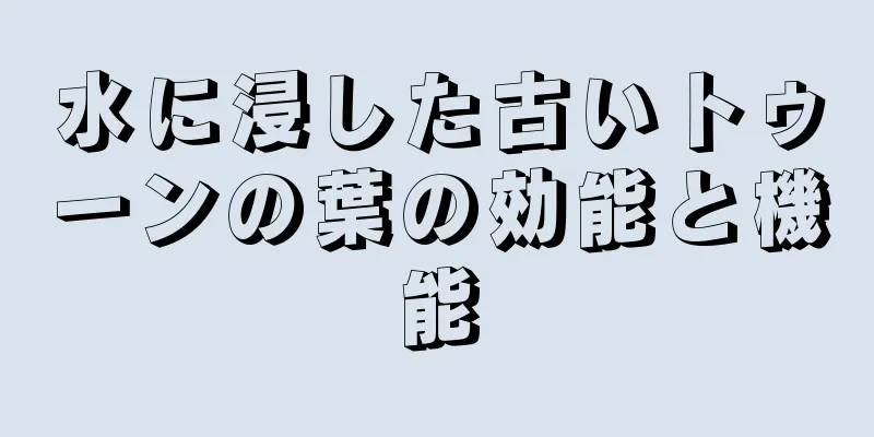 水に浸した古いトゥーンの葉の効能と機能