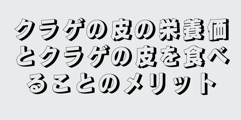 クラゲの皮の栄養価とクラゲの皮を食べることのメリット
