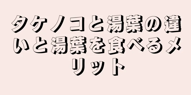 タケノコと湯葉の違いと湯葉を食べるメリット