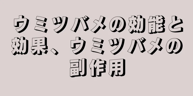 ウミツバメの効能と効果、ウミツバメの副作用