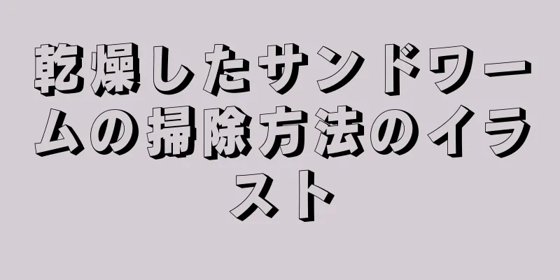 乾燥したサンドワームの掃除方法のイラスト