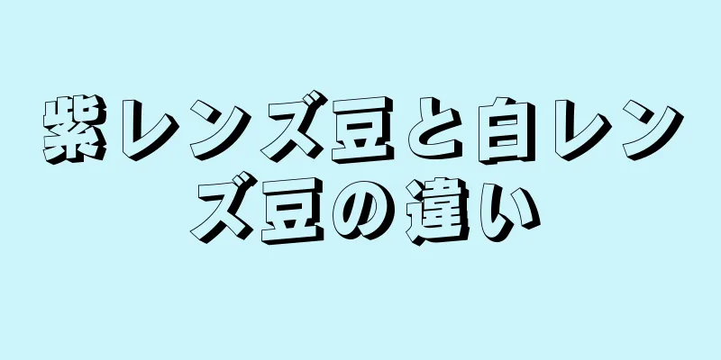 紫レンズ豆と白レンズ豆の違い