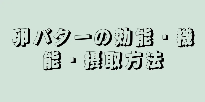 卵バターの効能・機能・摂取方法