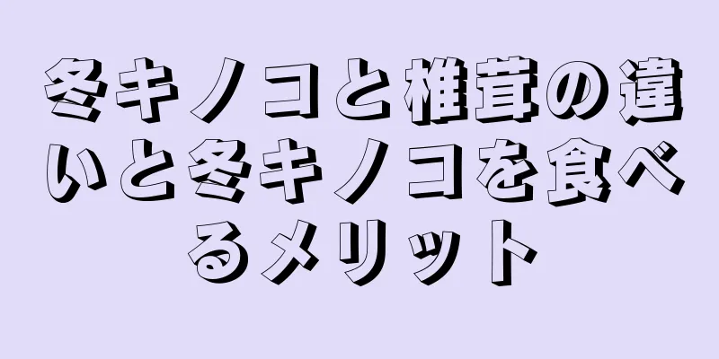 冬キノコと椎茸の違いと冬キノコを食べるメリット