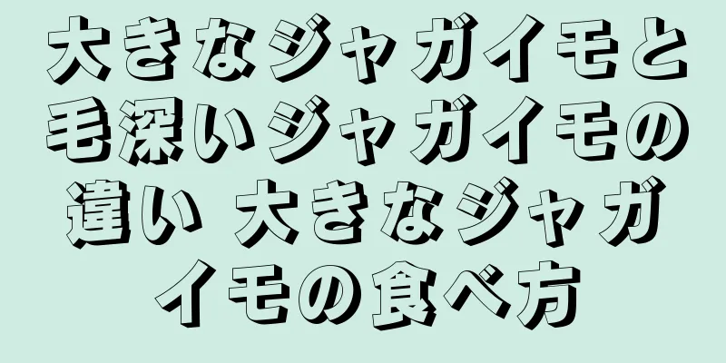 大きなジャガイモと毛深いジャガイモの違い 大きなジャガイモの食べ方