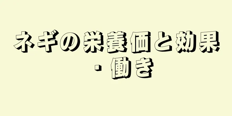 ネギの栄養価と効果・働き