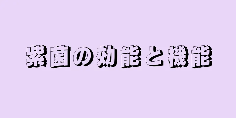 紫菌の効能と機能
