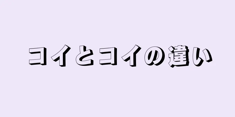 コイとコイの違い