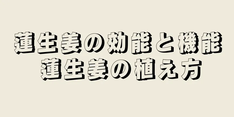 蓮生姜の効能と機能 蓮生姜の植え方