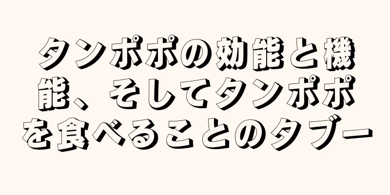 タンポポの効能と機能、そしてタンポポを食べることのタブー