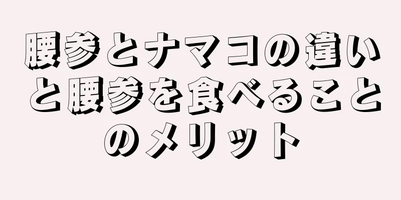 腰参とナマコの違いと腰参を食べることのメリット