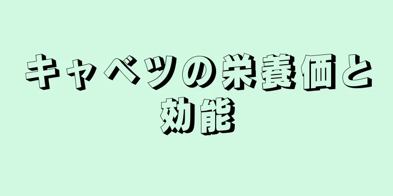 キャベツの栄養価と効能