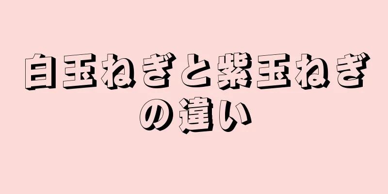 白玉ねぎと紫玉ねぎの違い