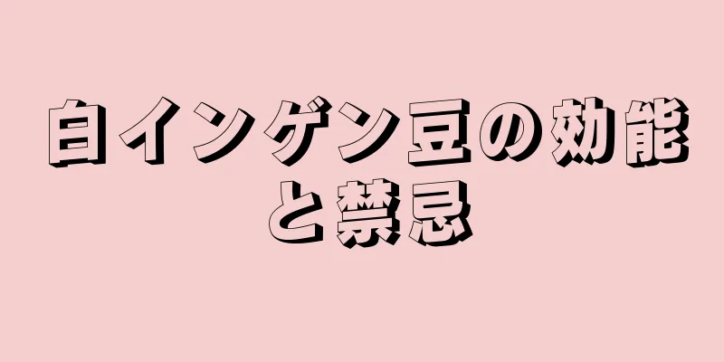 白インゲン豆の効能と禁忌