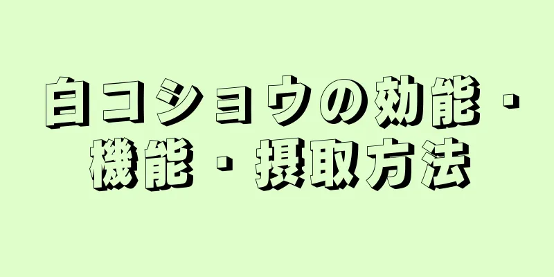 白コショウの効能・機能・摂取方法