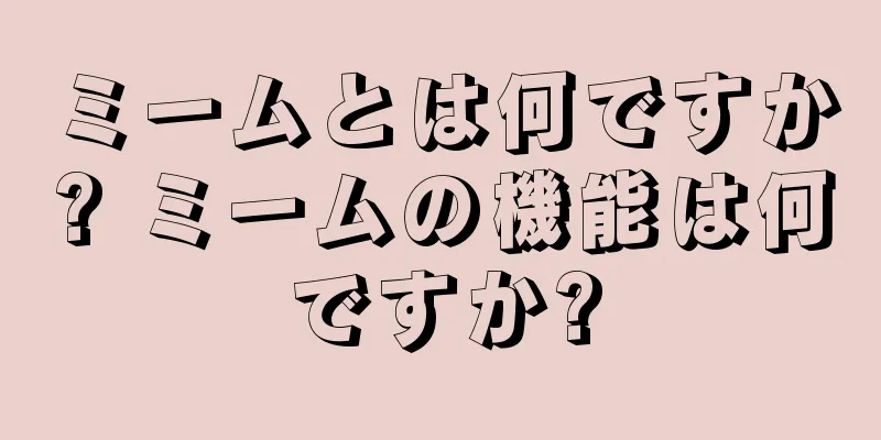 ミームとは何ですか? ミームの機能は何ですか?