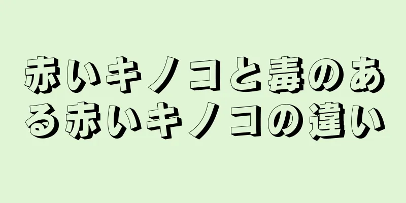 赤いキノコと毒のある赤いキノコの違い