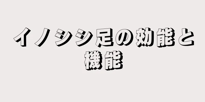 イノシシ足の効能と機能