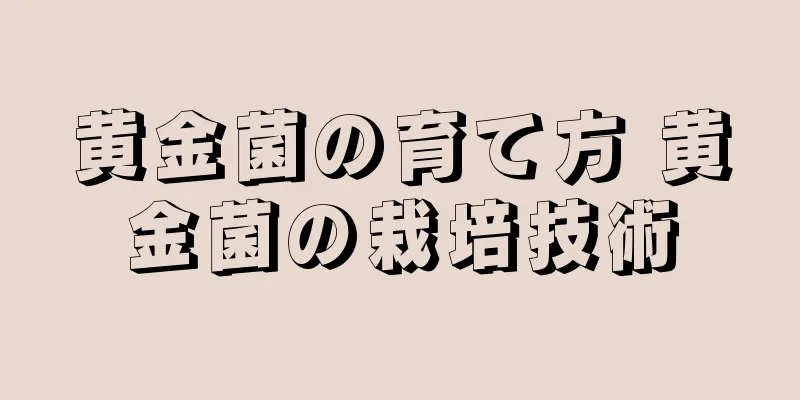 黄金菌の育て方 黄金菌の栽培技術