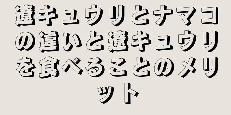 遼キュウリとナマコの違いと遼キュウリを食べることのメリット