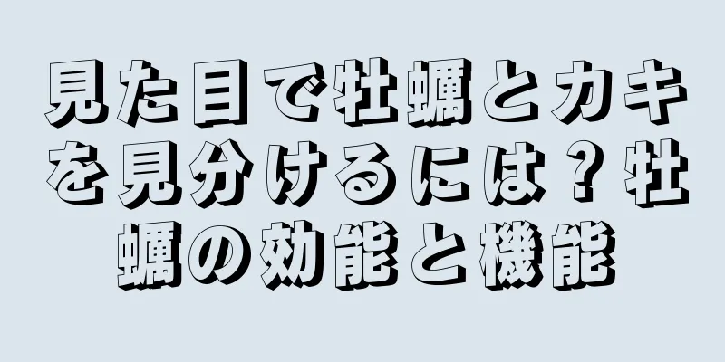 見た目で牡蠣とカキを見分けるには？牡蠣の効能と機能