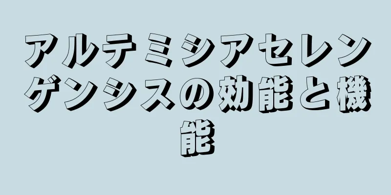 アルテミシアセレンゲンシスの効能と機能