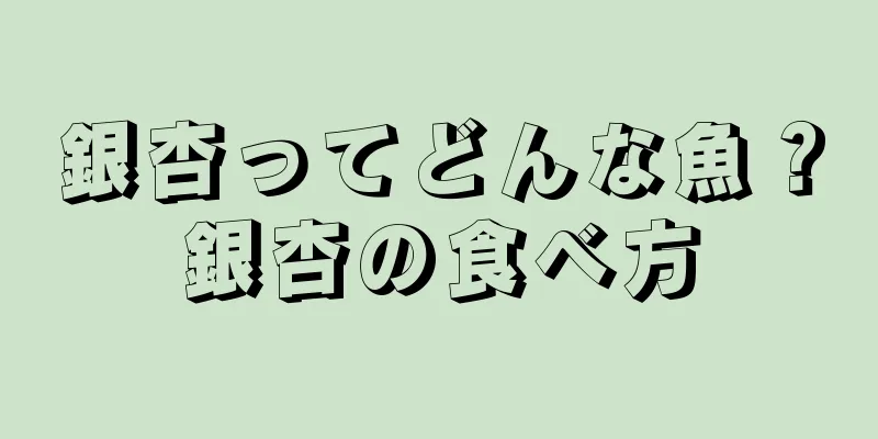 銀杏ってどんな魚？銀杏の食べ方