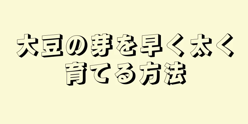 大豆の芽を早く太く育てる方法