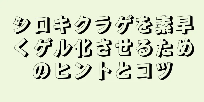 シロキクラゲを素早くゲル化させるためのヒントとコツ