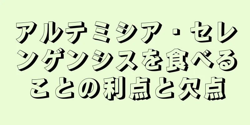 アルテミシア・セレンゲンシスを食べることの利点と欠点