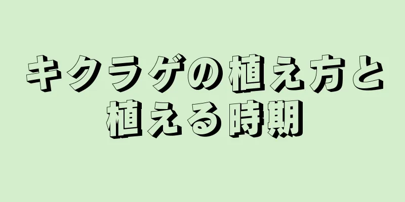 キクラゲの植え方と植える時期