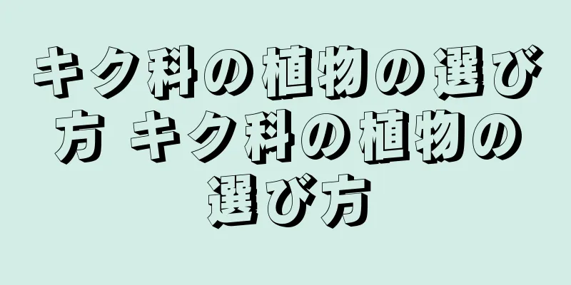 キク科の植物の選び方 キク科の植物の選び方