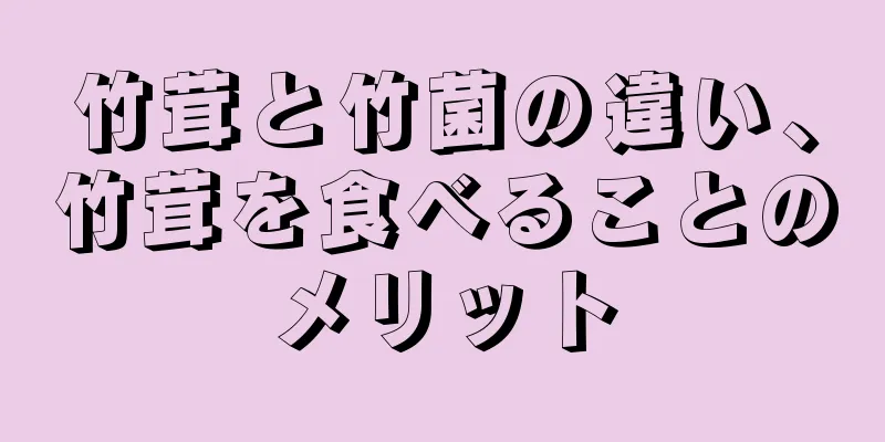 竹茸と竹菌の違い、竹茸を食べることのメリット