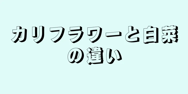 カリフラワーと白菜の違い