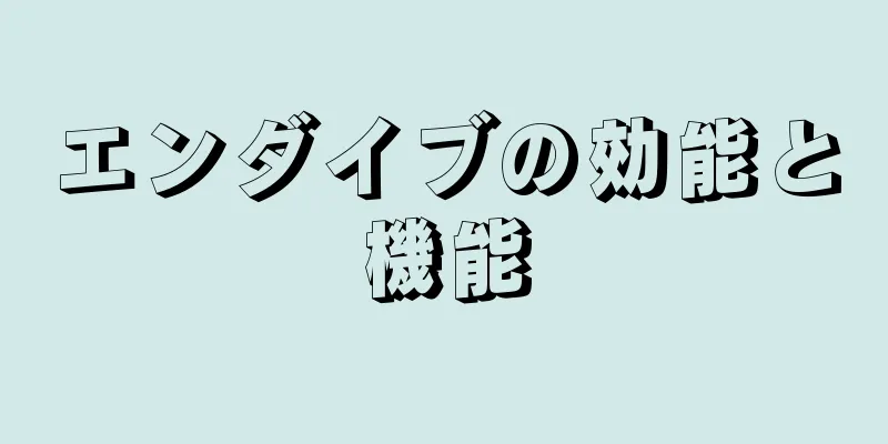 エンダイブの効能と機能