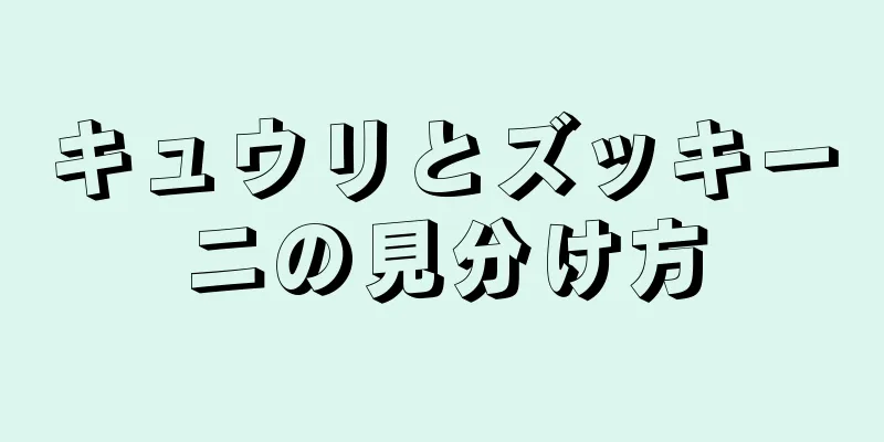 キュウリとズッキーニの見分け方