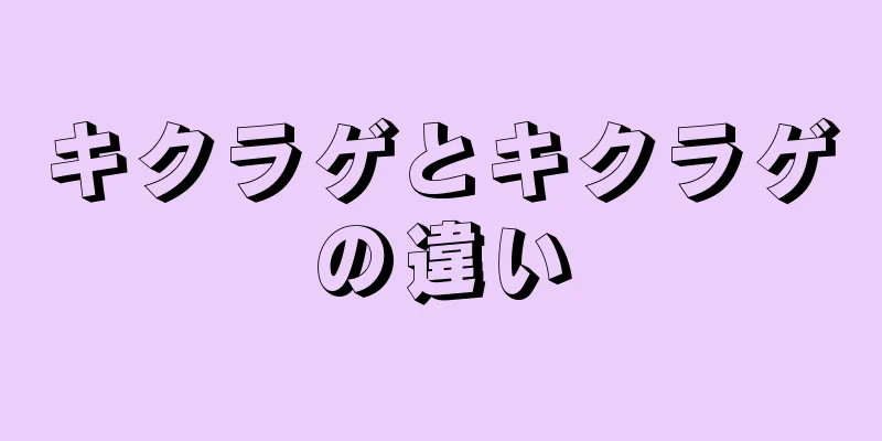 キクラゲとキクラゲの違い