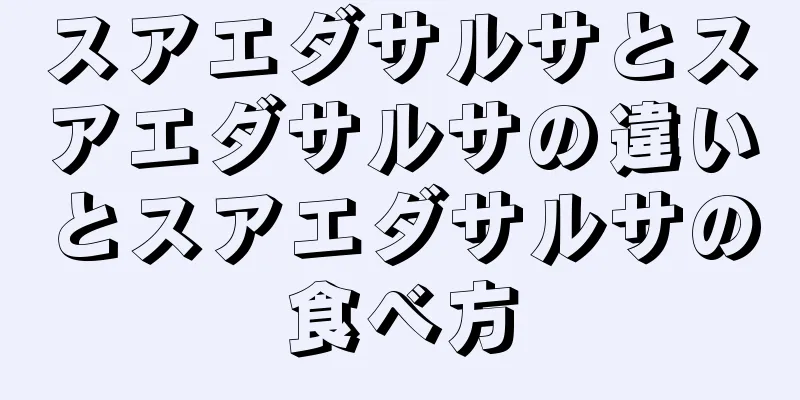 スアエダサルサとスアエダサルサの違いとスアエダサルサの食べ方