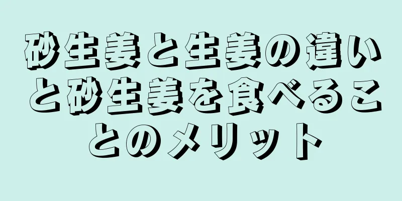 砂生姜と生姜の違いと砂生姜を食べることのメリット