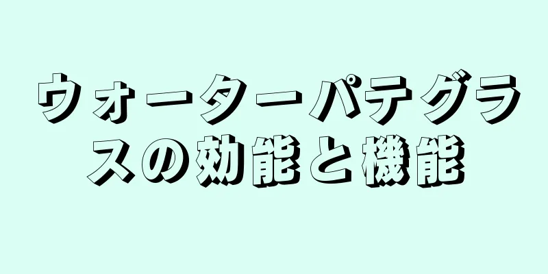 ウォーターパテグラスの効能と機能