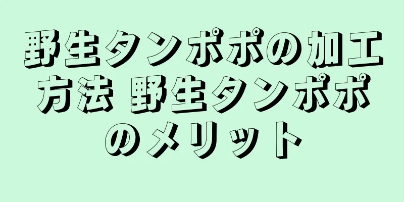 野生タンポポの加工方法 野生タンポポのメリット