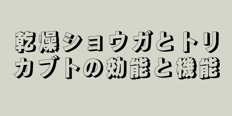 乾燥ショウガとトリカブトの効能と機能