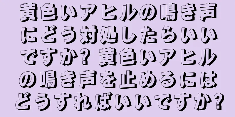 黄色いアヒルの鳴き声にどう対処したらいいですか? 黄色いアヒルの鳴き声を止めるにはどうすればいいですか?