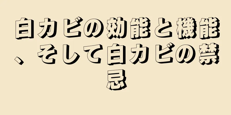 白カビの効能と機能、そして白カビの禁忌