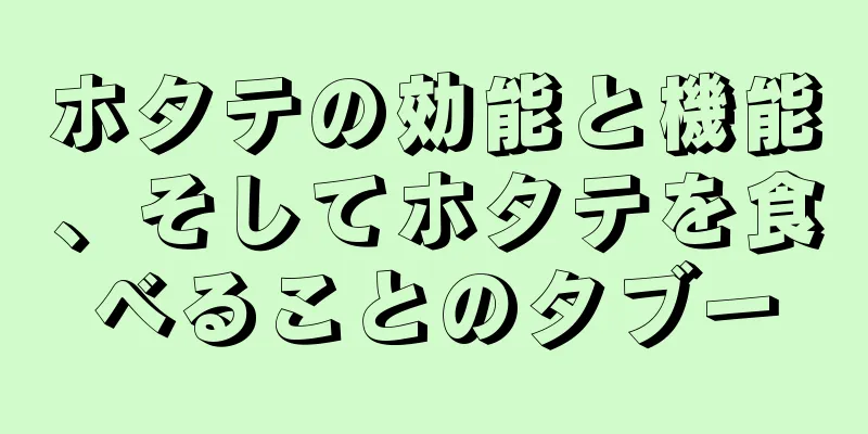 ホタテの効能と機能、そしてホタテを食べることのタブー