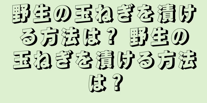 野生の玉ねぎを漬ける方法は？ 野生の玉ねぎを漬ける方法は？