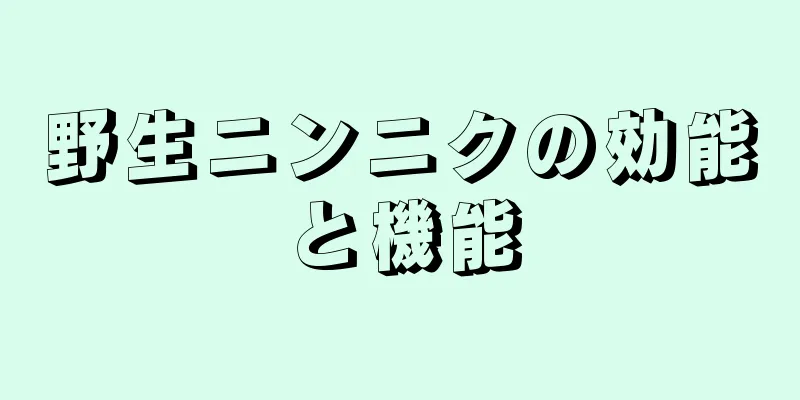 野生ニンニクの効能と機能