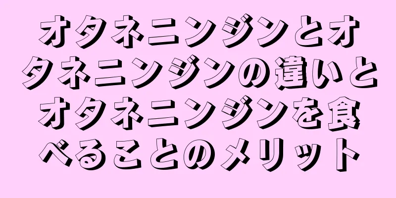 オタネニンジンとオタネニンジンの違いとオタネニンジンを食べることのメリット