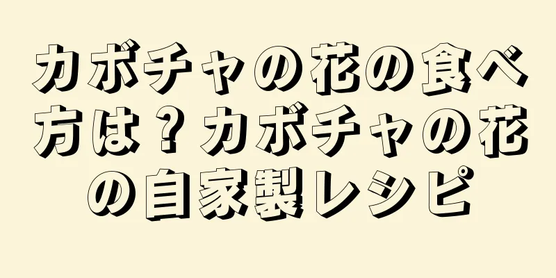 カボチャの花の食べ方は？カボチャの花の自家製レシピ