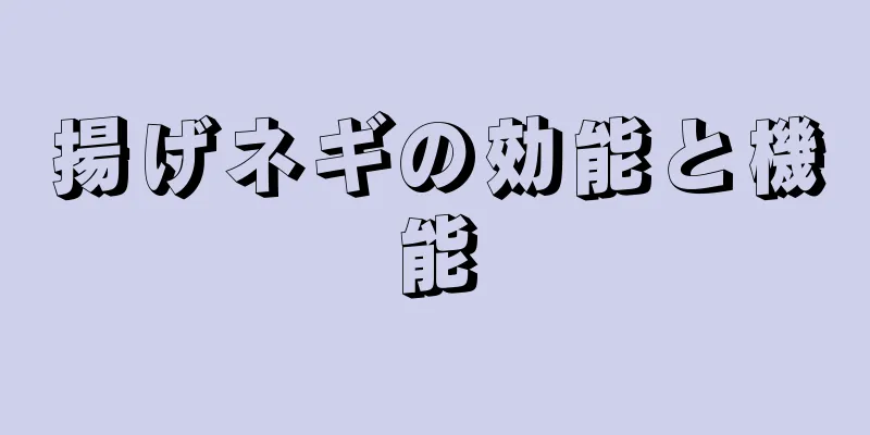 揚げネギの効能と機能